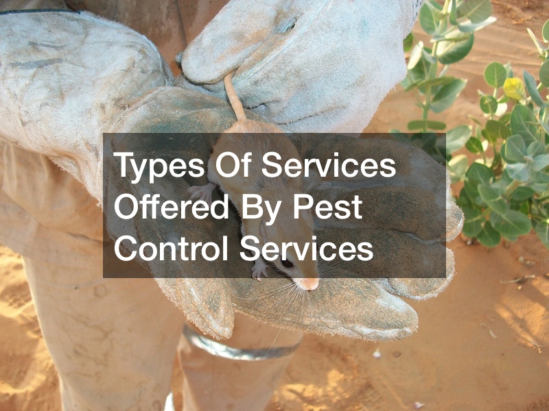 affordable pest control service